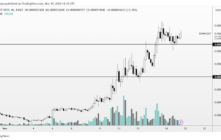 Meme Coin Trader říká, že BONK míří k novému ATH, tady je proč