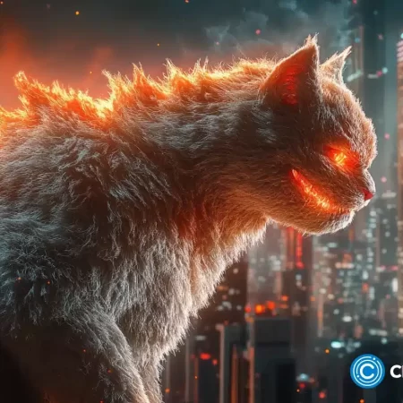 Catzilla se chystá 150x do 1. čtvrtletí 2025, protože analytici upozorňují na únorové výjimečné hodnoty těchto 3 kryptoměn