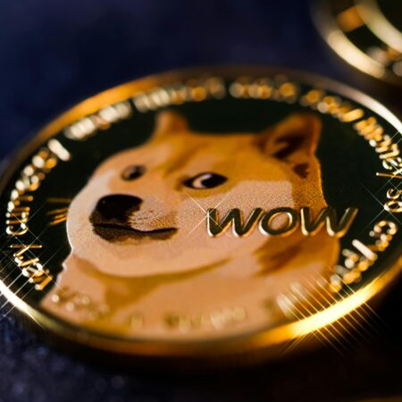 Kde koupit Dogecoin: Přehled nejlepších možností