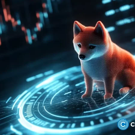 Tento předprodejní žeton se snaží vyrovnat legendární rallye Shiba Inu.